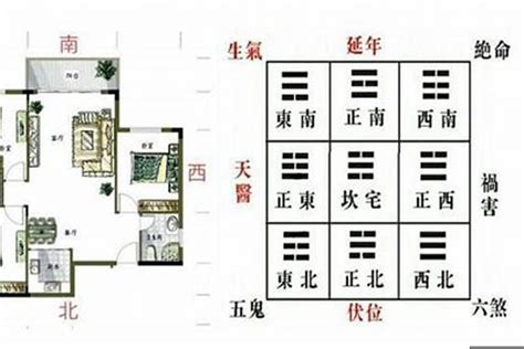 青龙位在哪里|如何确定客厅的青龙位？